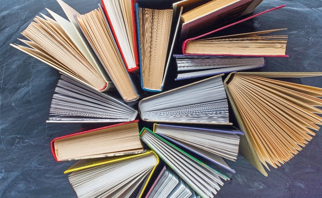 El 23 de abril se celebra el Día Mundial del Libro, el Día de la lengua española y el Día de la lengua inglesa - Foto: Foto de archivo/EL UNIVERSAL