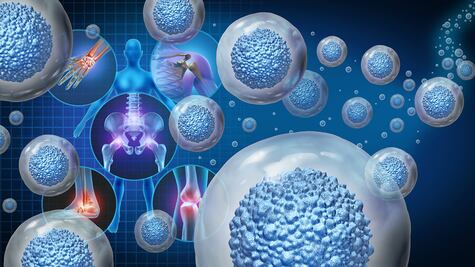 Biomateriales para reconstruir el cuerpo