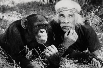 Los animales del cine mexicano