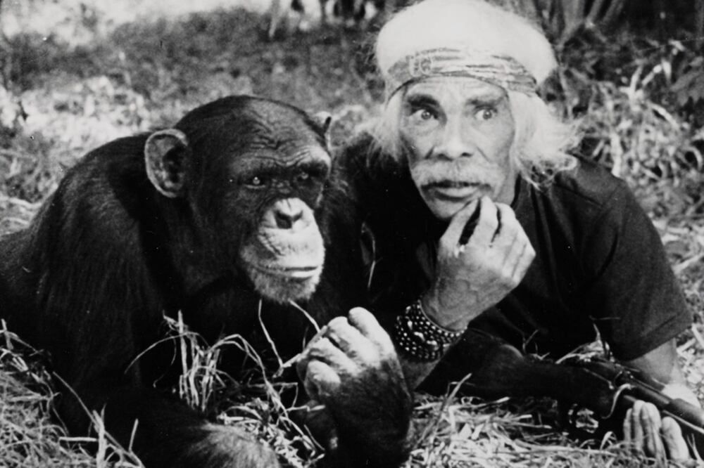 Tradicionalmente, el cine mexicano ha echado mano de animales reales, entrenados en su mayoría, para ser personajes en películas. Aquí te presentamos algunos de ellos, que quizá no tengas en la memoria.

