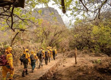 Incendios se extienden en el Ajusco-Chichinautzin; ya suman 793 hectáreas afectadas