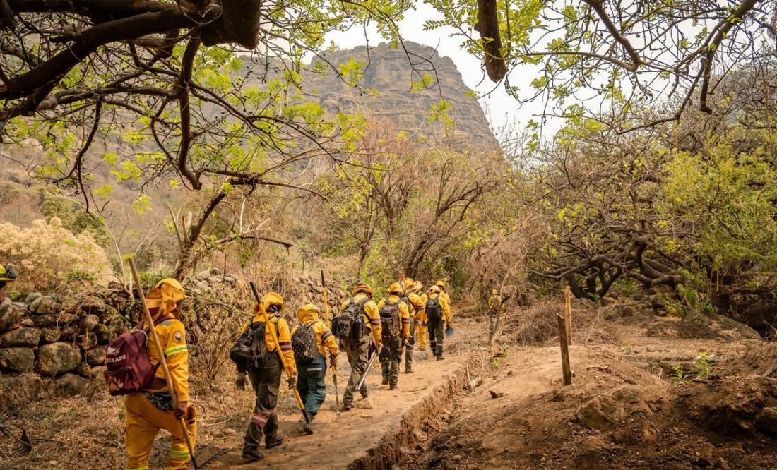 Van 793.5 hectáreas dañadas por incendios forestales. Foto: Especial