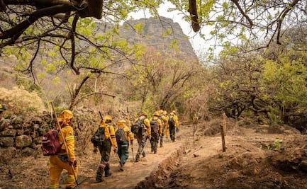 Incendios se extienden en el Ajusco-Chichinautzin; ya suman 793 hectáreas afectadas