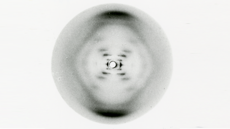 Foto 51: la fascinante historia detrás de la célebre imagen de Rosalind Franklin sobre la estructura del ADN