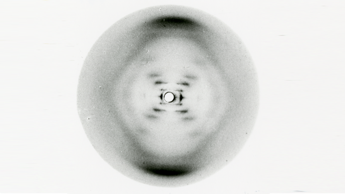 Foto: Archivo/ EL UNIVERSAL