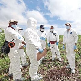 Detienen búsqueda de cuerpos en fosa clandestina de Veracruz por vacaciones
