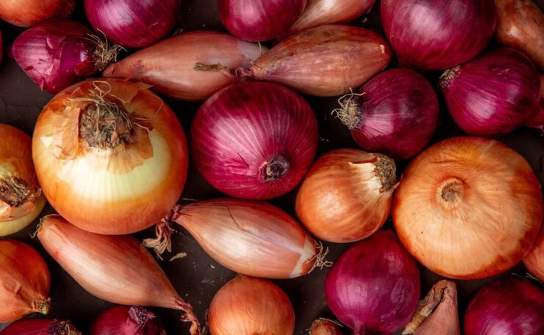 Cómo conservar las cebollas. Fuente: Freepik