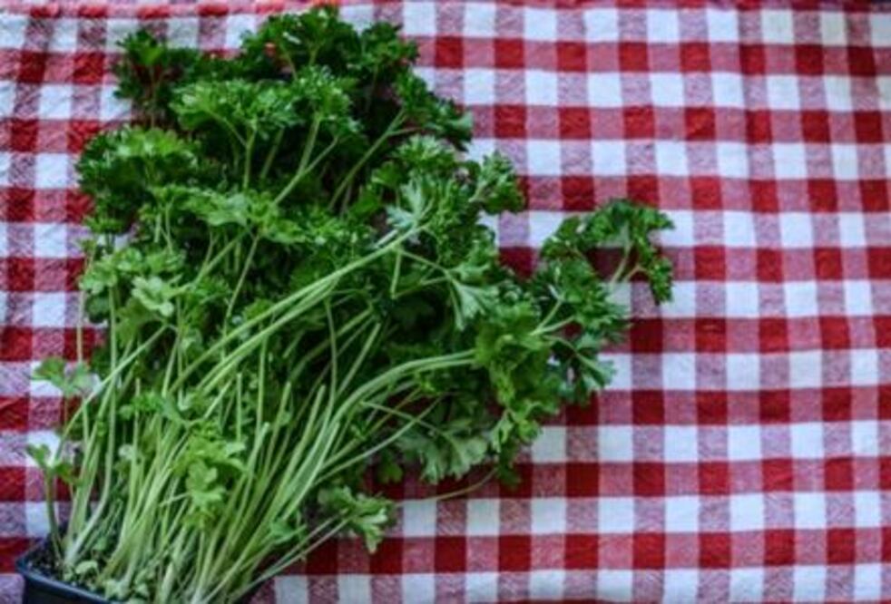 Perejil | Fuente: Unsplash