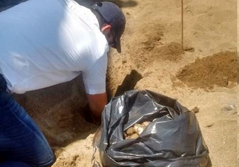 Foto: tomada de @PROFEPA_Mx