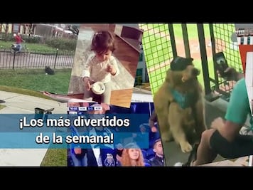 ¡Los videos más adorables y divertidos de la semana!