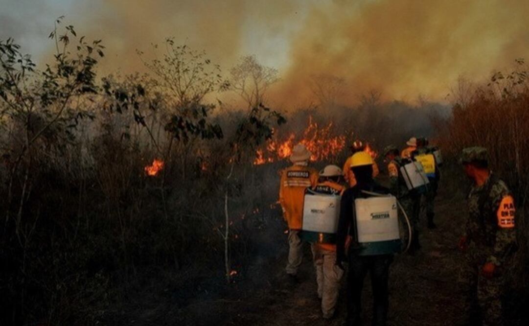 Este año, en Yucatán se han registrado más de 3 mil incendios. Foto: especial