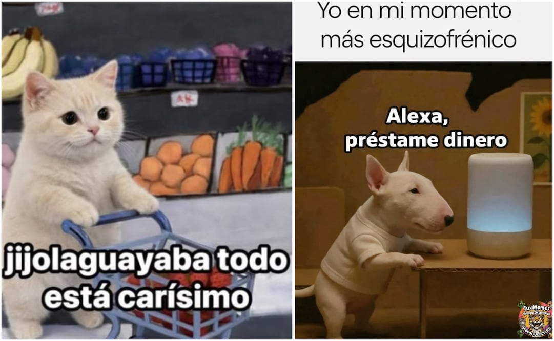 Cuesta de enero 2026: los mejores memes para sobrevivir al aumento de precios. Foto: Captura de pantalla