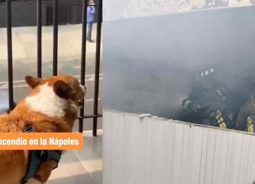 "Sus ladridos no paraban": Así intentaron salvar a 6 perritos del incendio en la Nápoles, VIDEOS