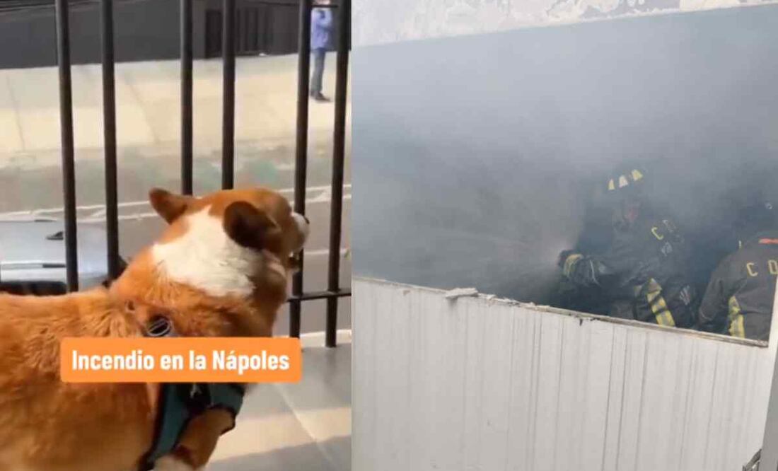 Un perro responde a los ladridos de los caninos atrapados en el edificio en llamas en la Nápoles Foto: Especial