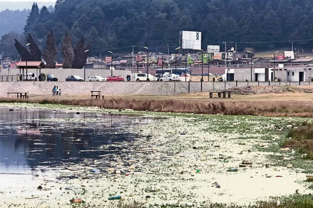 De acuerdo con los ejidatarios de la zona, durante la última temporada de lluvias se multiplicó de forma importante la cantidad de lirio, lo que impidió retirar aún más la suciedad del lugar (CLAUDIA GONZÁLEZ. EL UNIVERSAL)