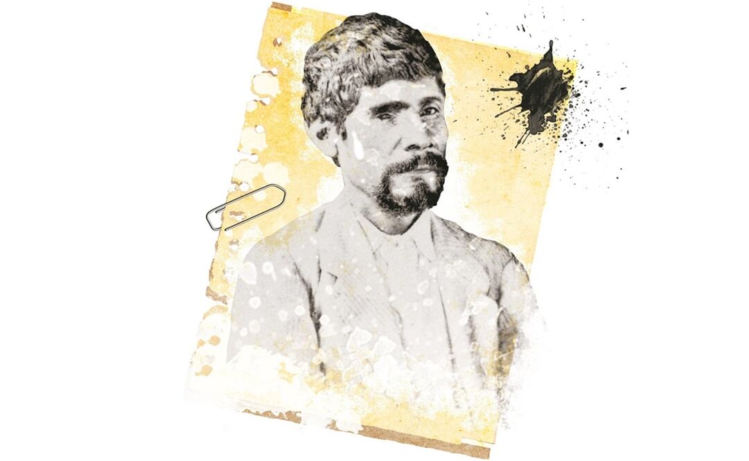 El tigre de la casa I