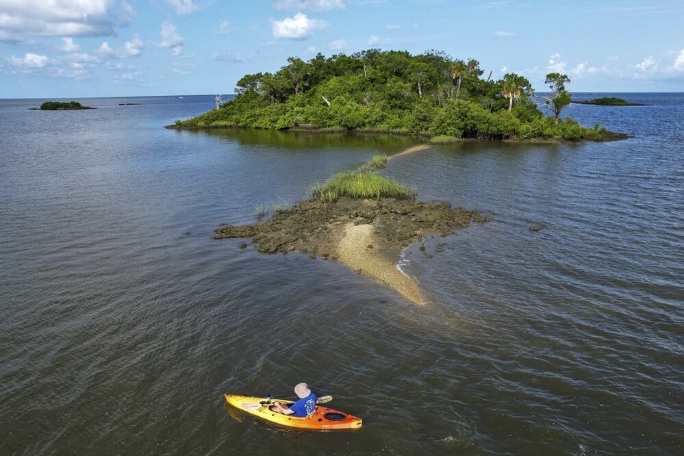 El reportero de Associated Press Richard Lardner navega en kayak hasta Sweetheart Island, frente a la costa de Yankeetown, Florida, el 5 de agosto de 2023. Foto: Julio Aguilar. AP