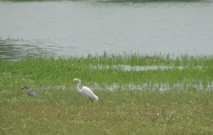 La historia de una laguna rescatada por pobladores