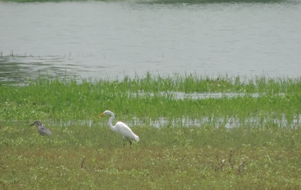 Foto: Juan Manuel Barrera