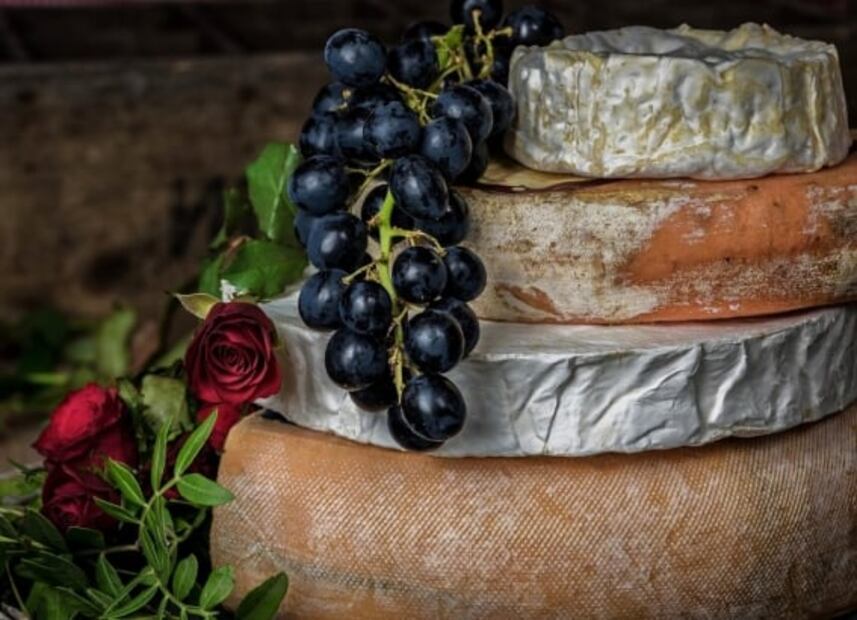 ¿Sabías que hay hongos y levaduras en el queso que comes?