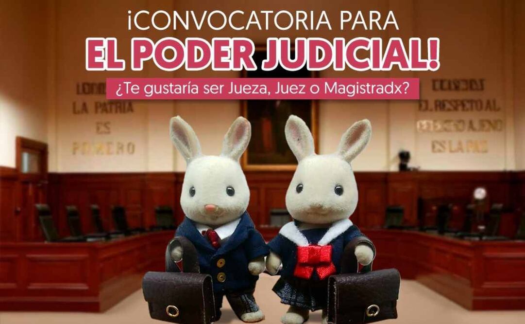 Convocatoria para el Poder Judicial. Foto: X @imjuvemx