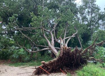 Chichén Itzá, Ek Balam y Cobá, cierran por daños provocados por Gamma