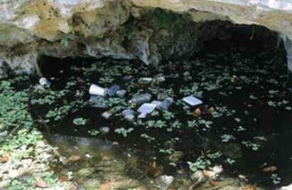 El 97 por ciento del agua subterránea en la península de Yucatán está contaminada, denuncia organización