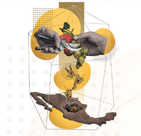 Ven en México un “juvenicidio”