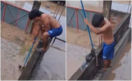 Poza Rica: rescate viral de gatito conmueve a usuarios en redes