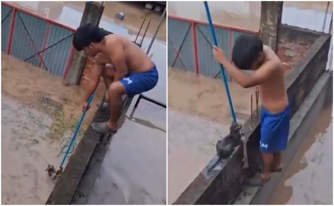 El video del rescate de un gatito tras las inundaciones en Poza Rica se ha vuelto viral conmoviendo a miles de usuarios en redes sociales. Foto: X