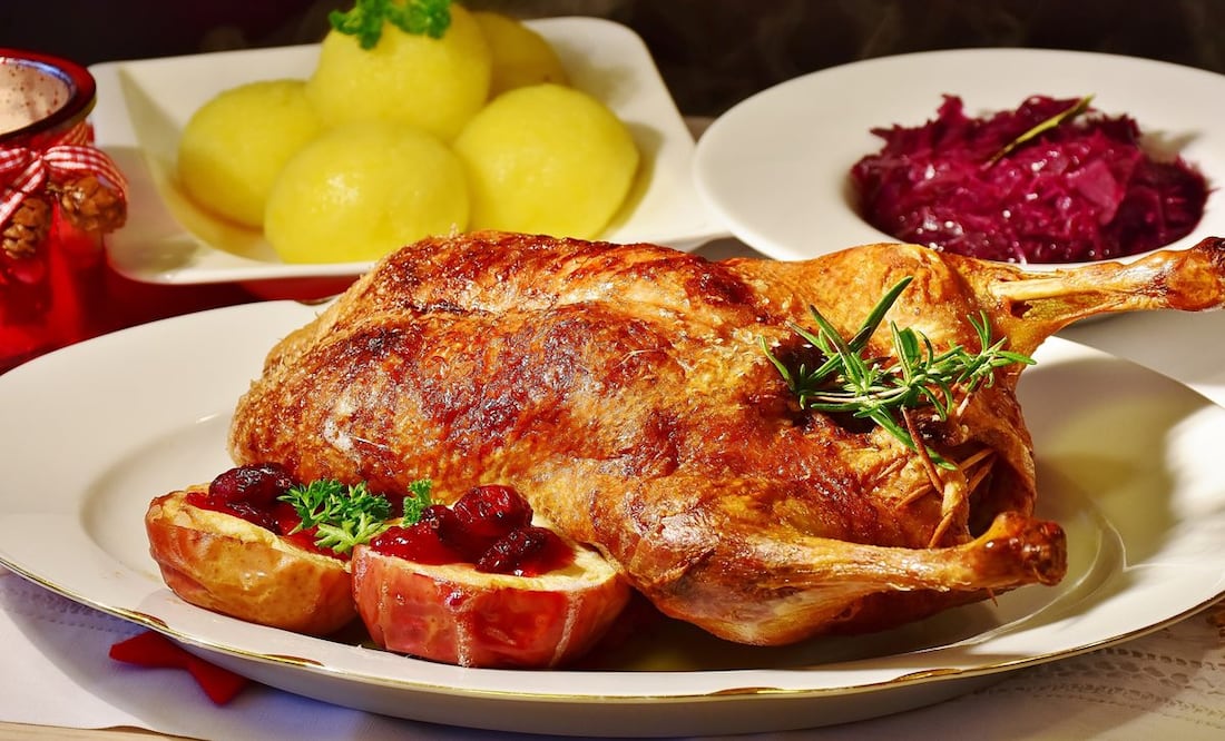Prepara un delicioso pavo para Navidad. Foto: Pixabay