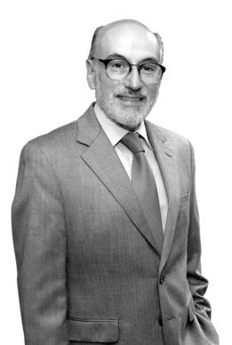 Luis Felipe Bravo Mena