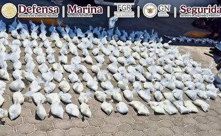 Federales incautan 203 kilos de drogas en BC