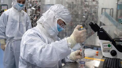 ¿Qué son las células T y cómo aportan inmunidad oculta contra el Covid-19?