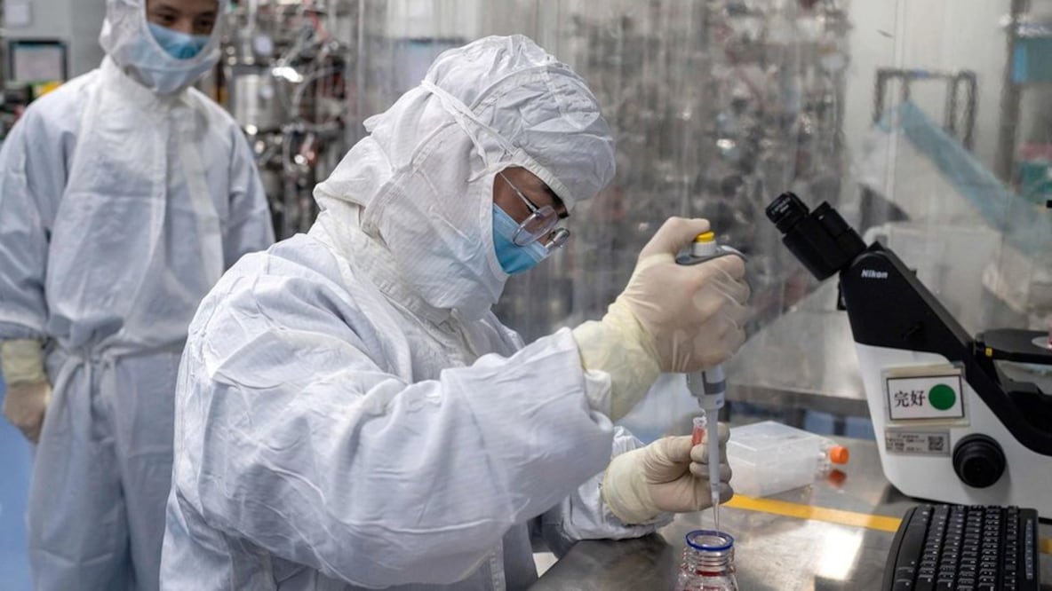Un tipo de glóbulos blancos podrían ser cruciales en nuestra lucha contra covid-19. Foto: Getty Images vía BBC