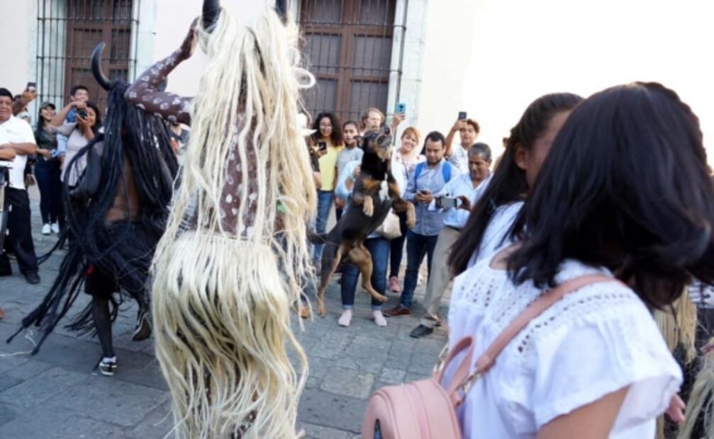 “Mazapán”, de perro callejero a carnavalero
