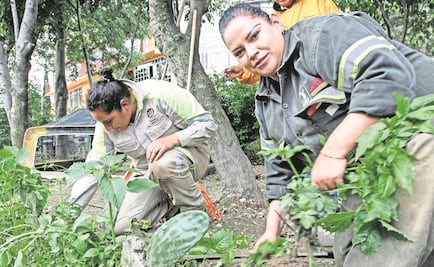 Sindicalizados de CDMX se unen a Tu Ciudad Te Requiere  