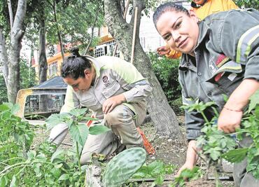 Sindicalizados de CDMX se unen a Tu Ciudad Te Requiere