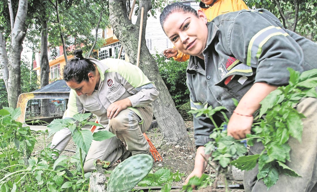 Las brigadas han acercado algunas de las 100 acciones que engloba Capital Social como Médico en tu Casa, Abogado en tu Casa y tarjetas Bebé Seguro (MARÍA JOSÉ MARTÍNEZ. CUARTOSCURO)