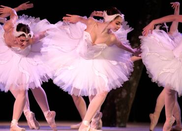 "Cisnes" de la CND, imprecisos previo a la temporada 40