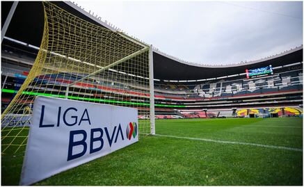 Agresiones en la Liga MX se dan por no controlar los impulsos, afirma especialista