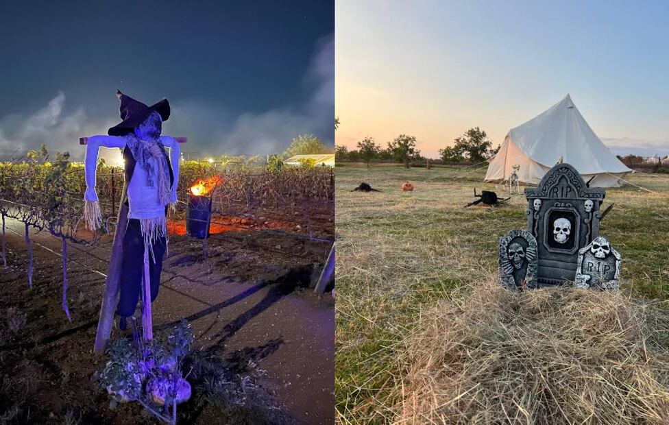 Fotos: Viñedos La Redonda