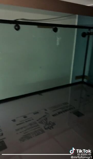 El influencer Fofo Máquez presume su peculiar mascota y otros lujos de su habitación