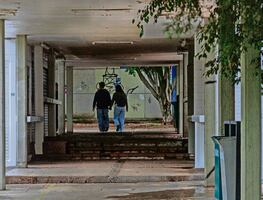 En seis meses hubo 450 casos de acoso en administración federal