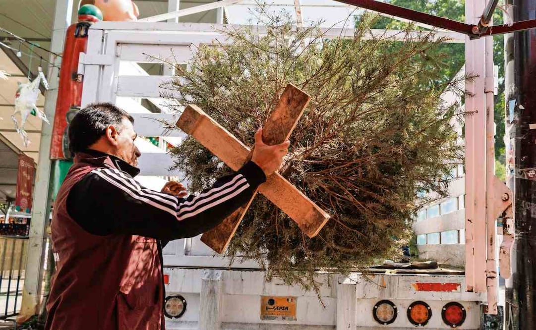 En enero de este 2026 se registró el mayor número de entrega de ejemplares, de acuerdo con las cifras de la Sedema. Foto: Archivo / EL UNIVERSAL