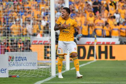 Los Tigres no piensan en el rival para la final