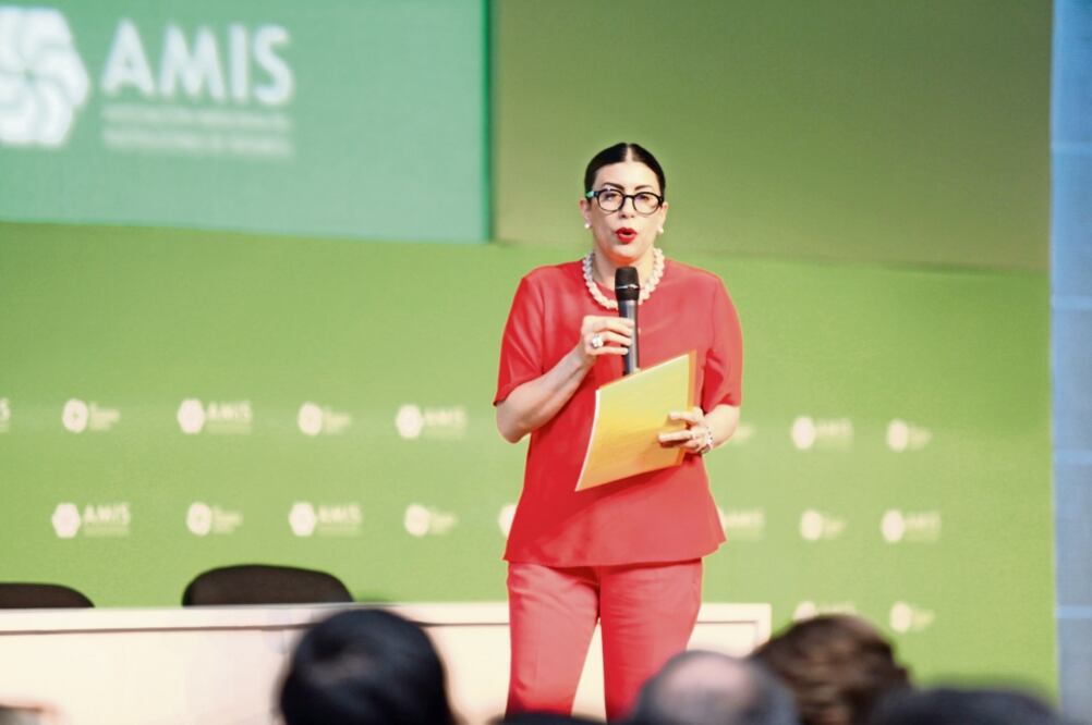 Vanessa Rubio, subsecretaria de Hacienda y Crédito Público, pidió no prejuzgar a los formadores de mercado y afirmó que la dependencia a su cargo colabora en todo lo que la Cofece requiera para la investigación (SHCP)