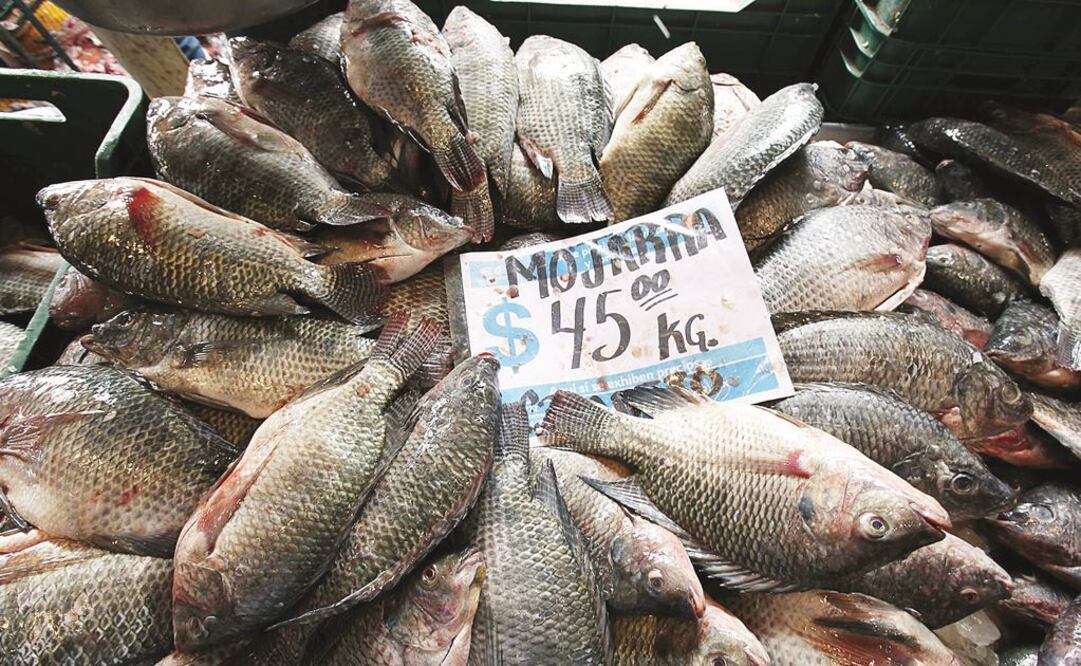 Prevén derrama de 3 mil mdp por cuaresma en La Nueva Viga