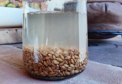 Cuida tu salud intestinal con esta bebida probiótica 