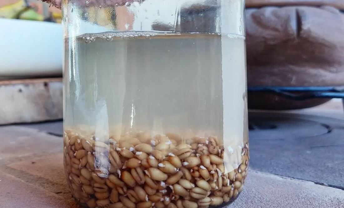 Foto: @anagoncalvesnutri